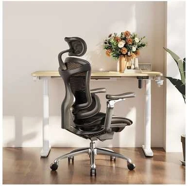 Ergonominė biuro kėdė Sihoo Doro C300, Juoda