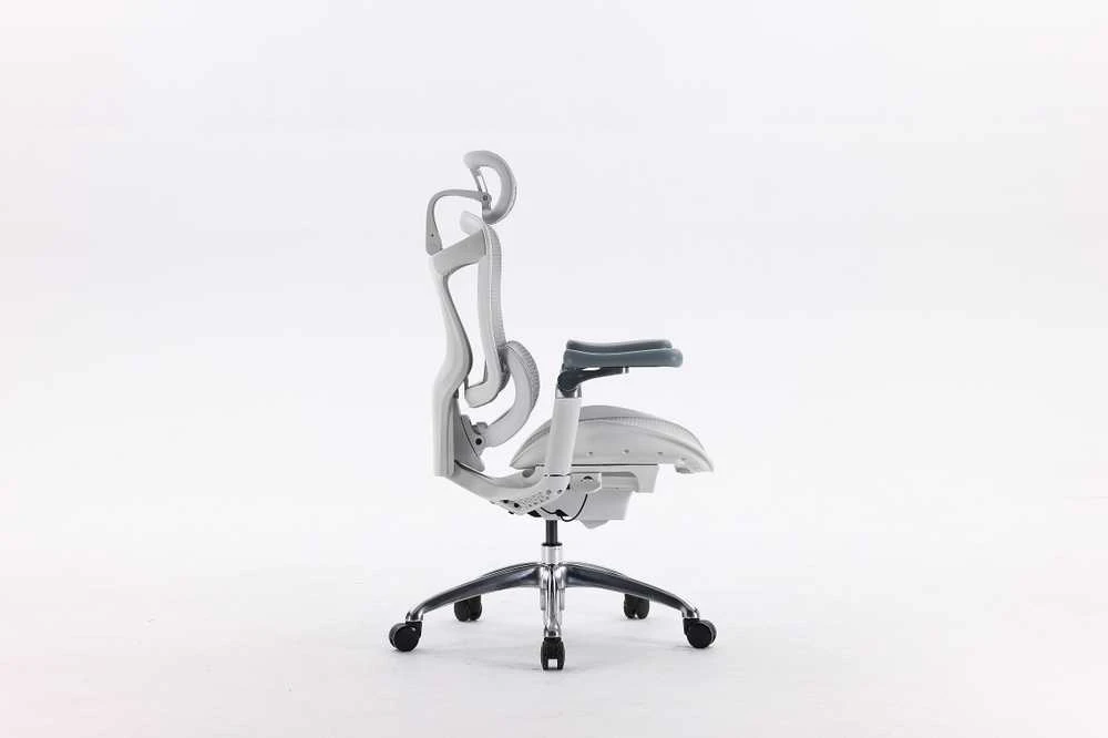 Ergonominė biuro kėdė Sihoo Doro C300, Balta