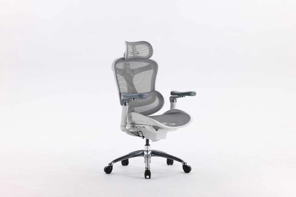 Sihoo Doro C300 pilka ergonomiška kėdė