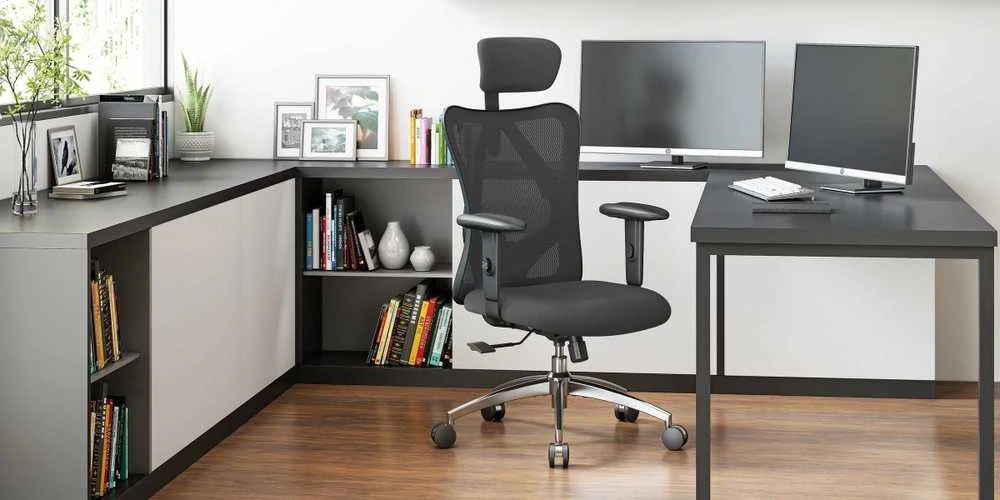 Ergonominė biuro kėdė Sihoo M18, Juoda