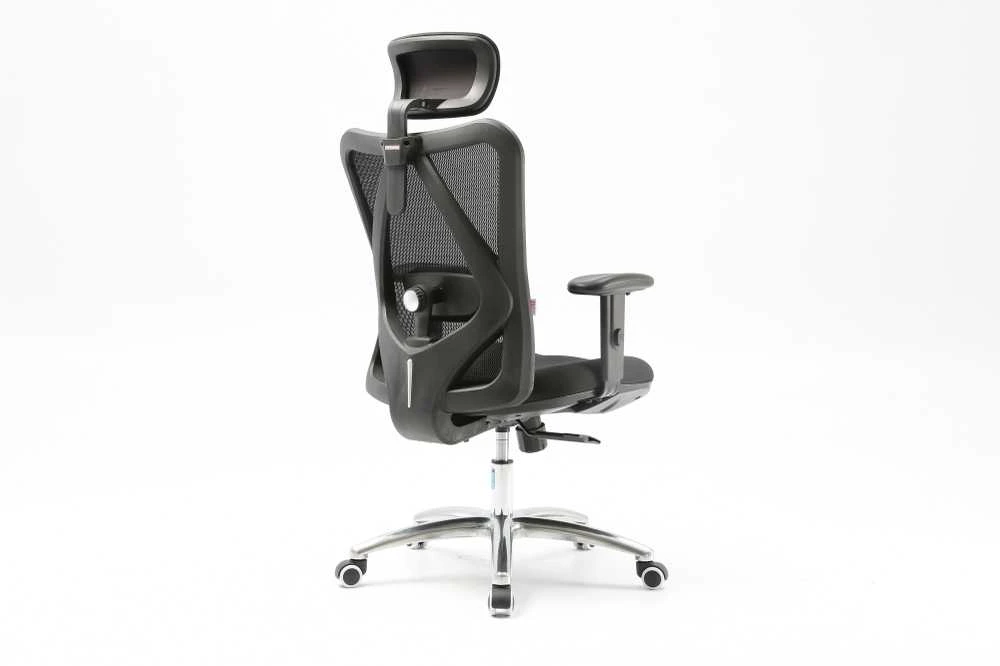 Ergonominė biuro kėdė Sihoo M18, Juoda