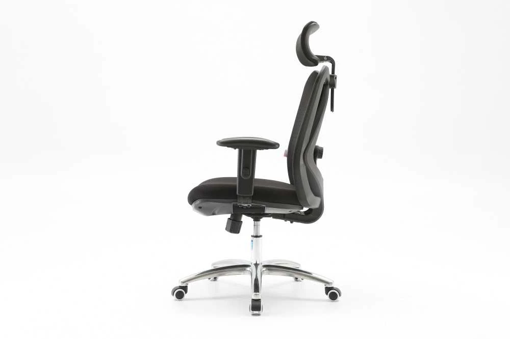 Ergonominė biuro kėdė Sihoo M18, Juoda
