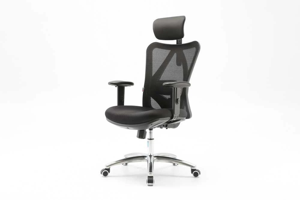 Ergonominė biuro kėdė Sihoo M18, Juoda
