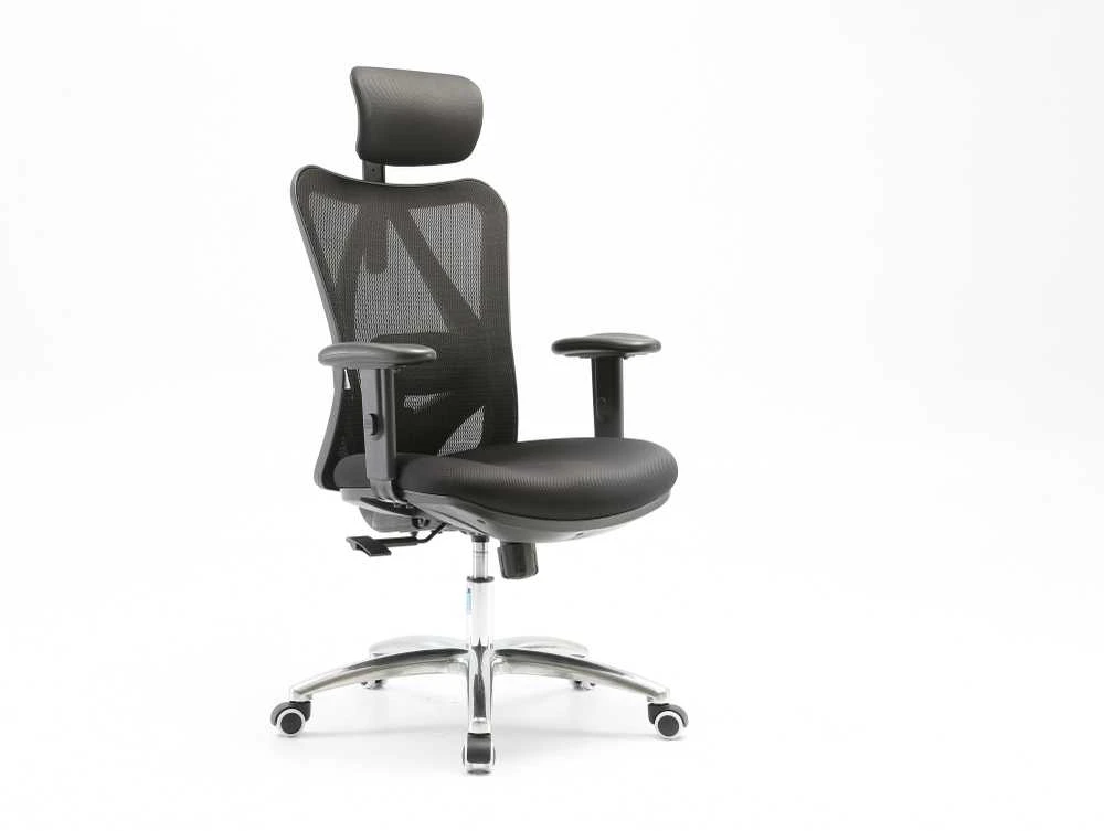 Ergonominė biuro kėdė Sihoo M18, Juoda
