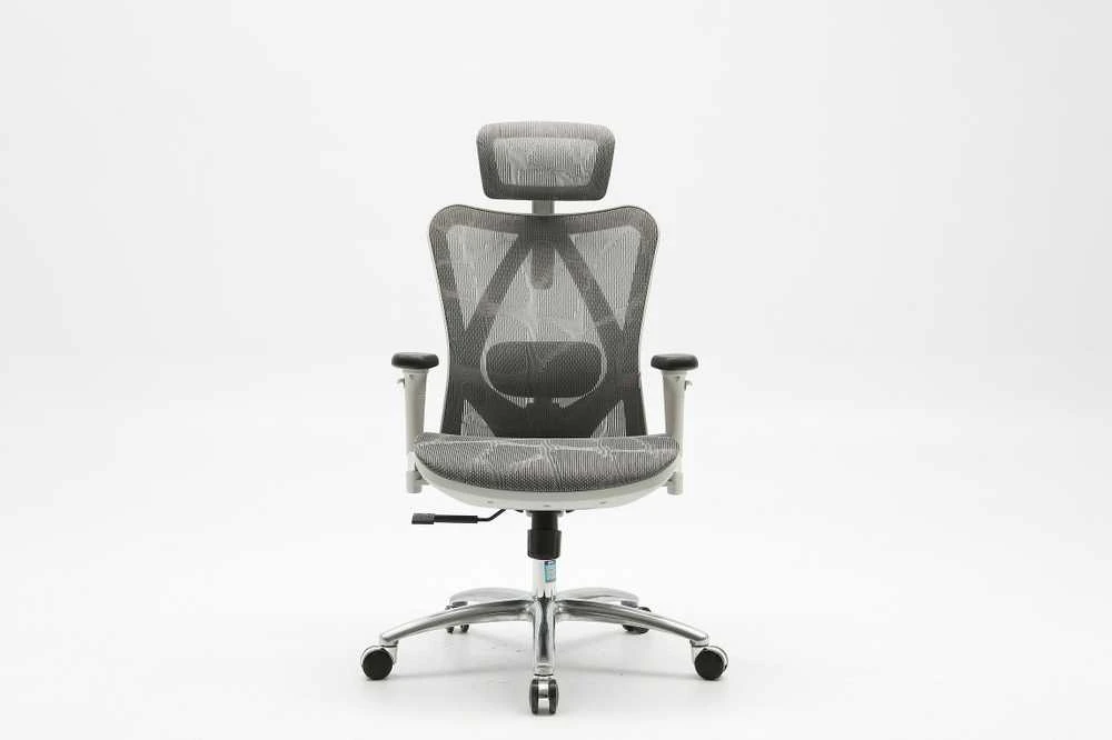 Ergonominė biuro kėdė Sihoo M57, Pilka