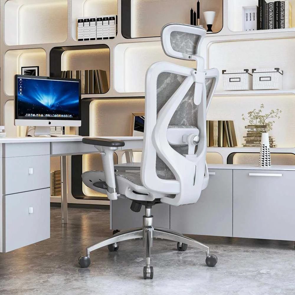 Ergonominė biuro kėdė Sihoo M57, Pilka