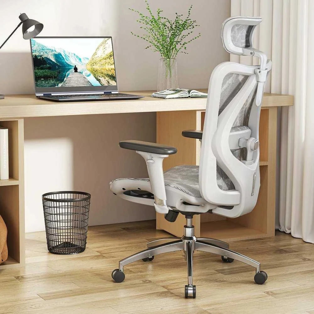 Ergonominė biuro kėdė Sihoo M57, Pilka