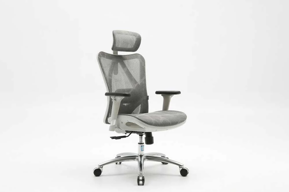 Ergonominė biuro kėdė Sihoo M57, Pilka
