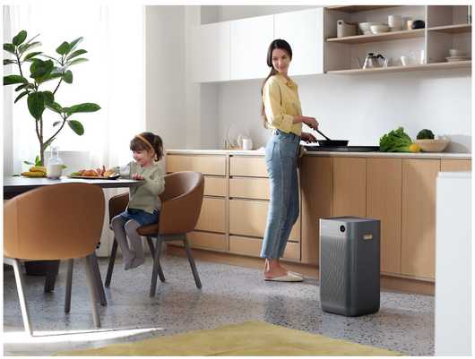 Xiaomi Smartmi Oro valytuvas 3