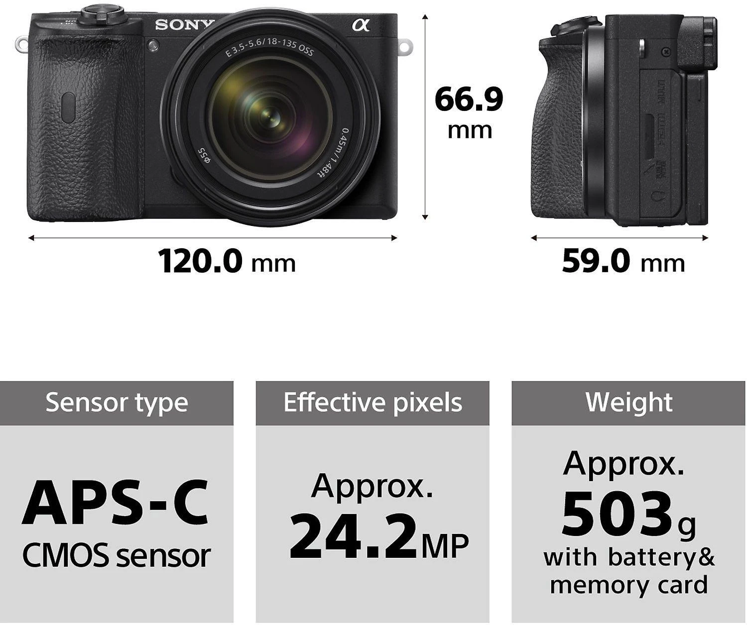 Sony A6600