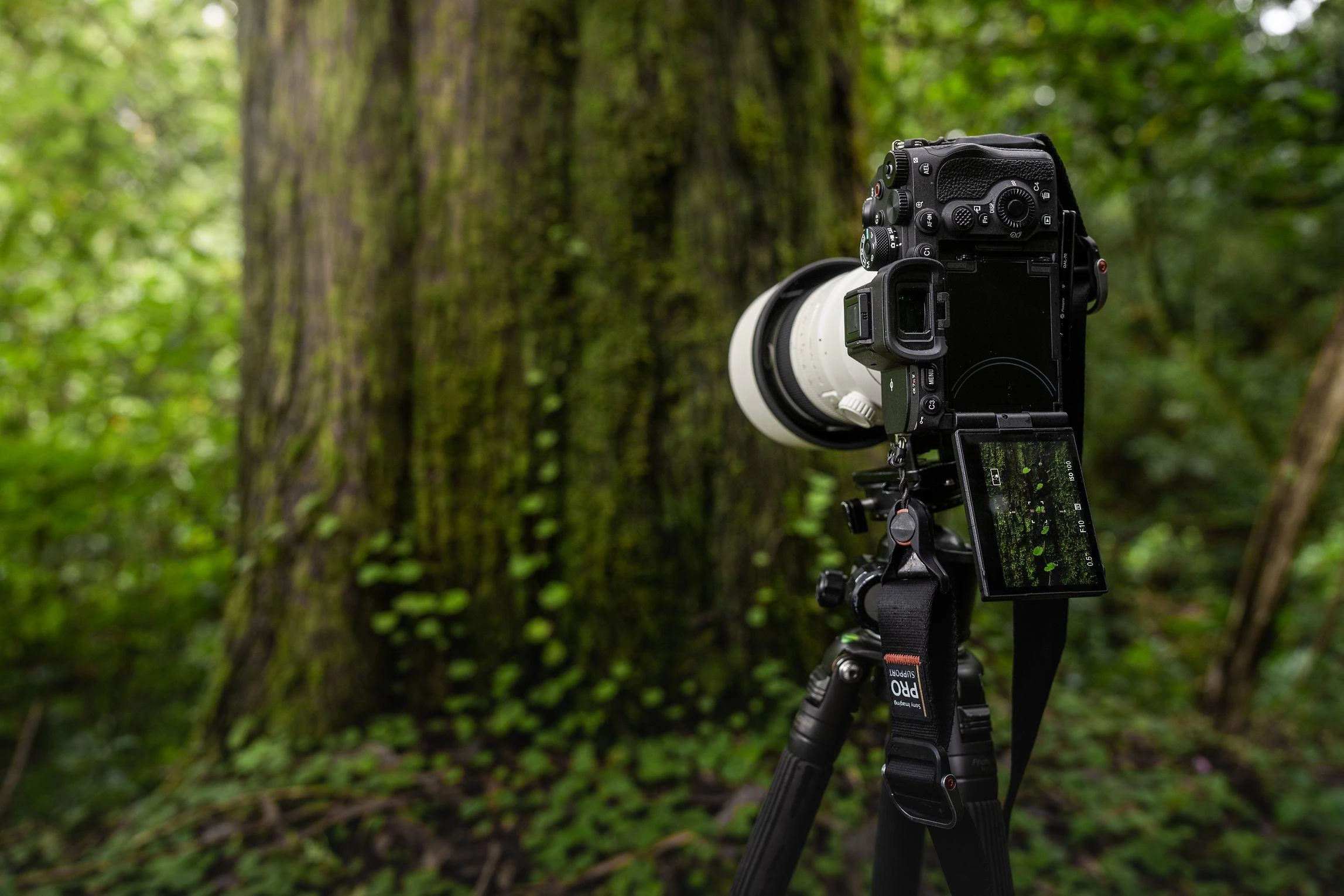 Sony A7R Mark V Body (Juodas) | (ILCE-7RM5/B) | (α7R V) | (Alpha 7R V)