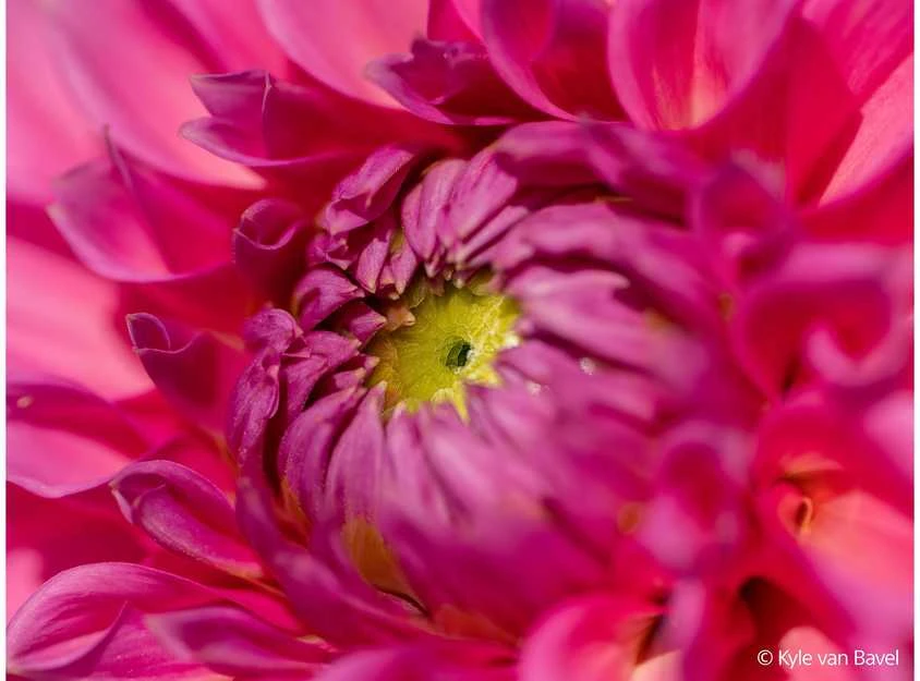 Objektyvas Sony FE 100mm F2.8 Macro GM OSS (Juodas) | (SEL100M28GMB.SYX)