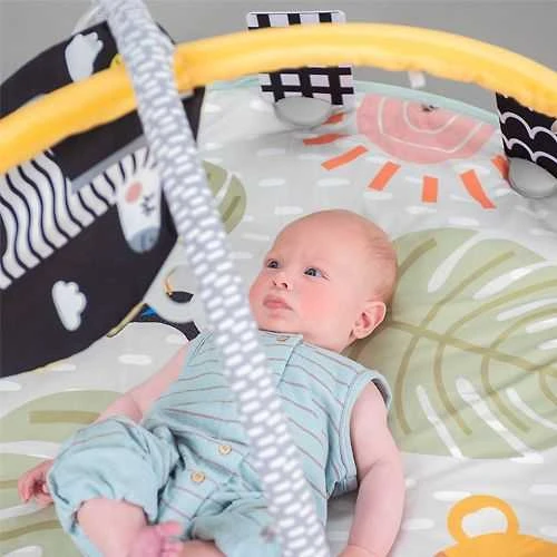 Taf Toys lavinamasis žaidimų kilimėlis Savannah 360