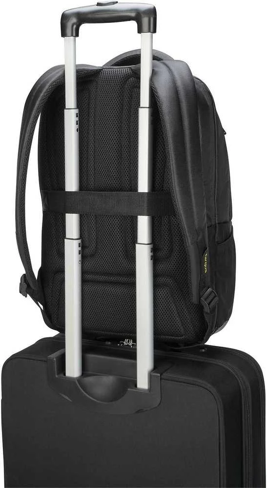 TARGUS CITYGEAR 17.3" nešiojamojo kompiuterio KUPRINĖ Juodas