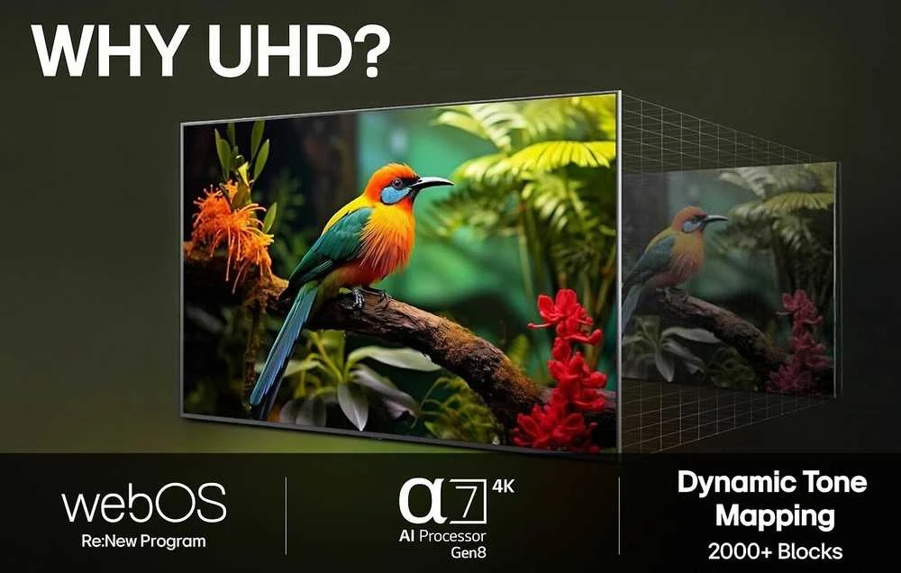 Televizorius LG 43 UA73 - 4K LED TV