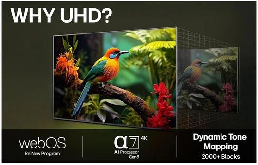 Televizorius LG 55 UA73 – 4K LED TV (API)