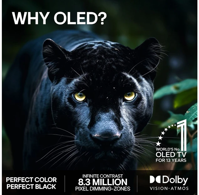 Televizorius LG 65 OLED B6E – 4K TV