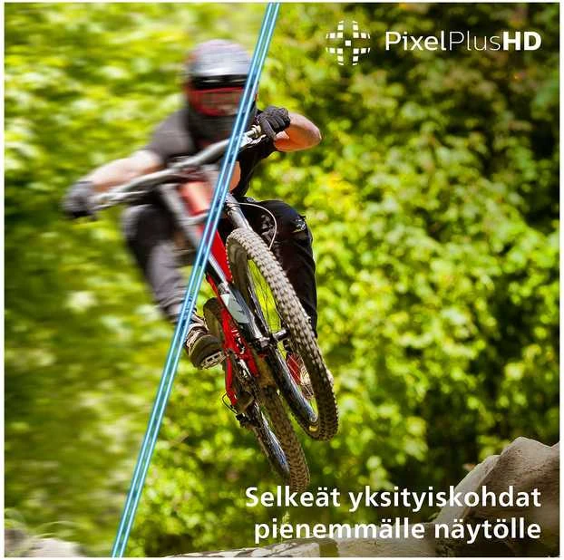 Televizorius Philips 2K HD LED (32") 43PFS5500/12