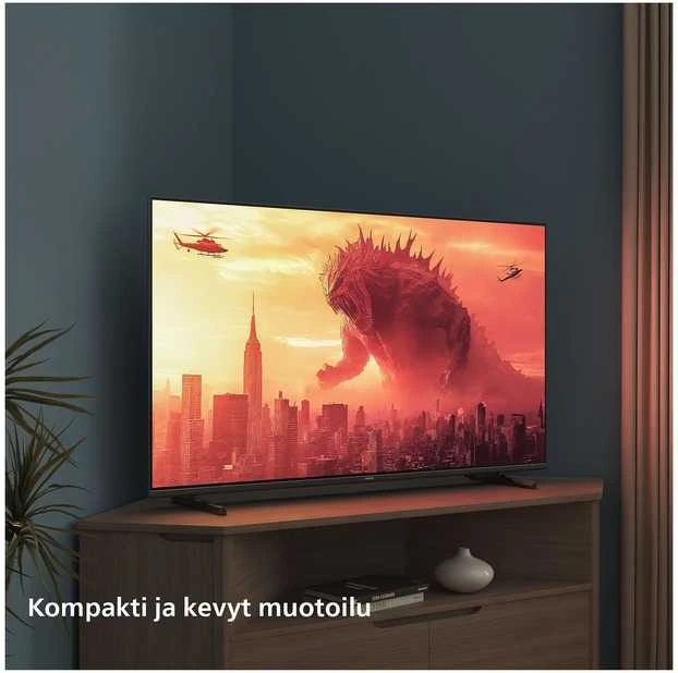Televizorius Philips 2K HD LED (32") 43PFS5500/12