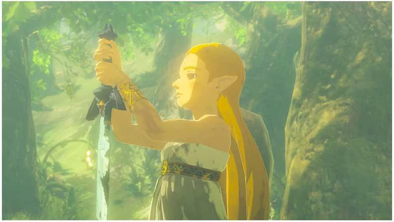Nintendo The Legend of Zelda: Breath of the Wild (Switch 2)