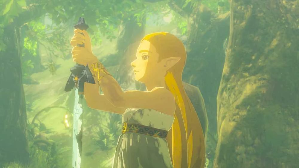 Nintendo The Legend of Zelda: Breath of the Wild (Switch 2)