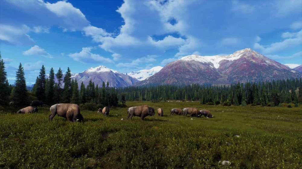 Thq Nordic Way of the Hunter - Wild Expeditions PS5