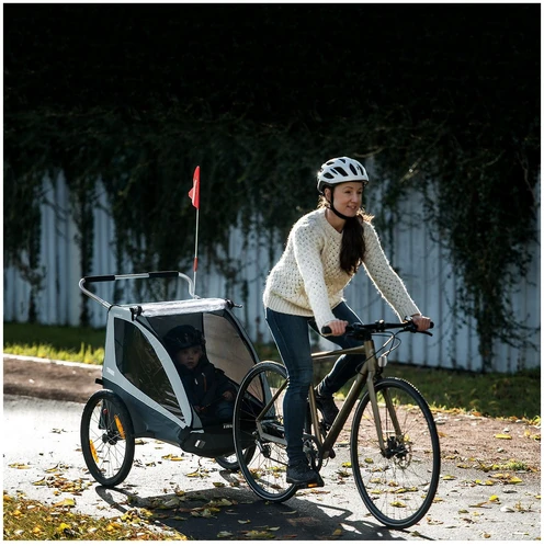 Thule Coaster XT lastenkuljetusrattaat, sininen