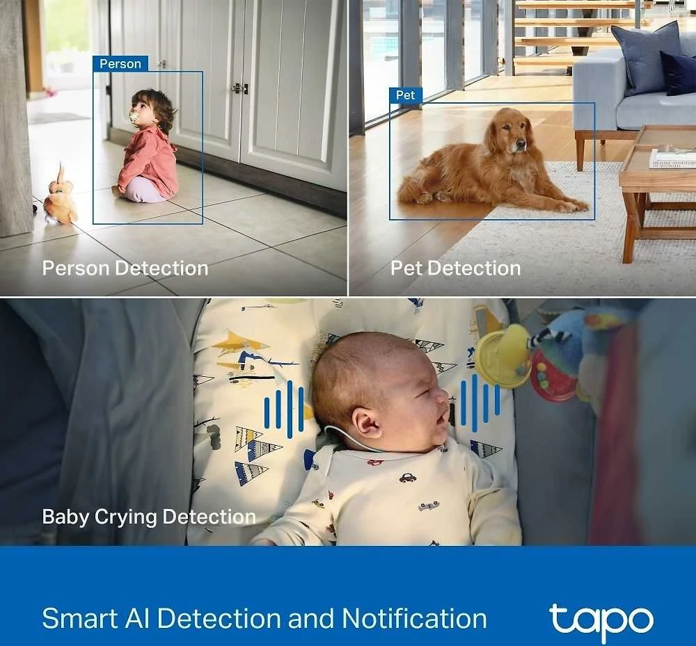 TP-LINK | Pakreipiama/sukama dirbtinio intelekto namų apsaugos „Wi-Fi“ kamera | Tapo C260 | Kupolinė | 8 MP | 4.3 mm / F1.6 | H.264 | „Micro SD“, maks. 512 GB