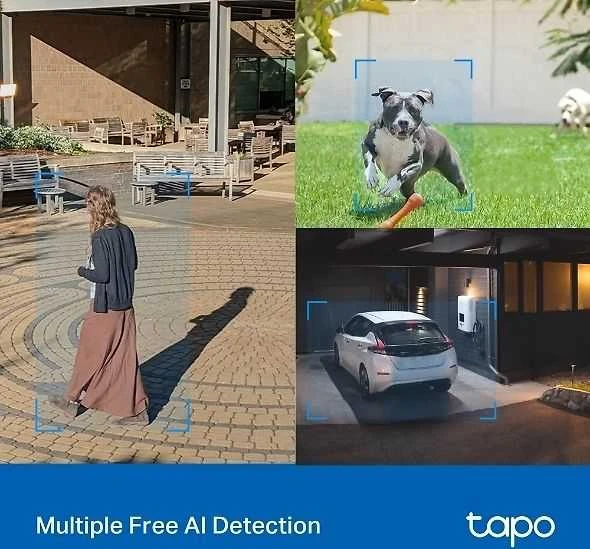 TP-LINK | Pan/Tilt Security Wi-Fi kamera | Tapo C520WS | Kupolas | 4 MP | 3,18 mm/F1,6 | IP66 | H.264 | „MicroSD“, iki 512 GB