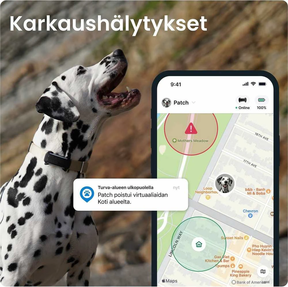 Tractive GPS sekimo įrenginys šunims, realaus laiko stebėjimas, sveikatos stebėjimas, juodas, TG6A