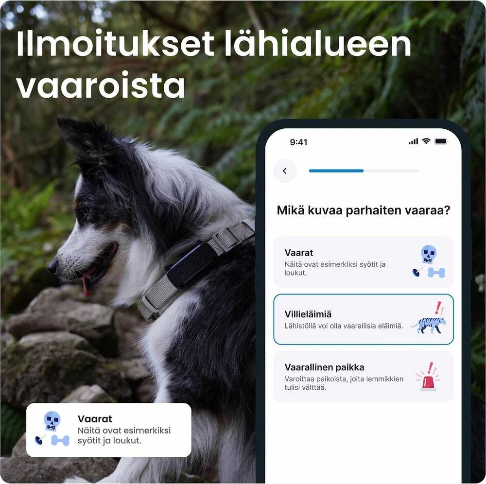 Tractive GPS sekimo įrenginys šunims, realaus laiko stebėjimas, sveikatos stebėjimas, juodas, TG6A