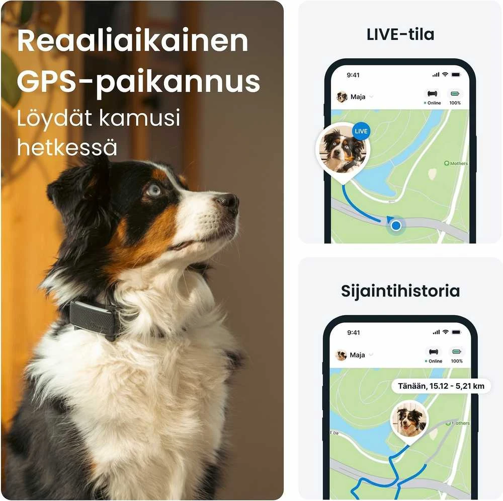 Tractive GPS sekimo įrenginys šunims, realaus laiko stebėjimas, sveikatos stebėjimas, juodas, TG6A