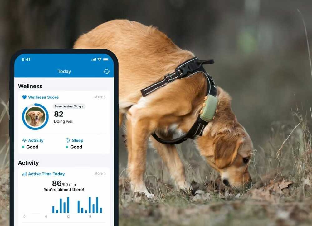 Tractive GPS Dog