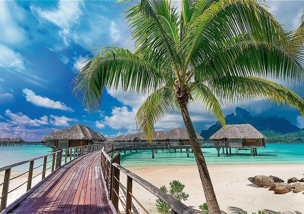 Trefl Dėlionė 1000 vnt. - Bora Bora