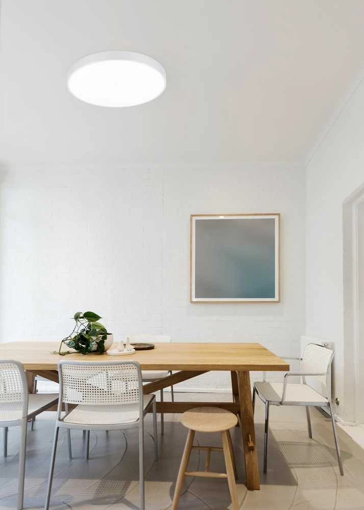 Lubinis šviestuvas Šviestuvas Trio WACO, lubinis, 52.5 W, LED
