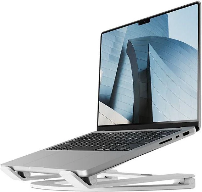 Twelve South Curve Flex (juodas)