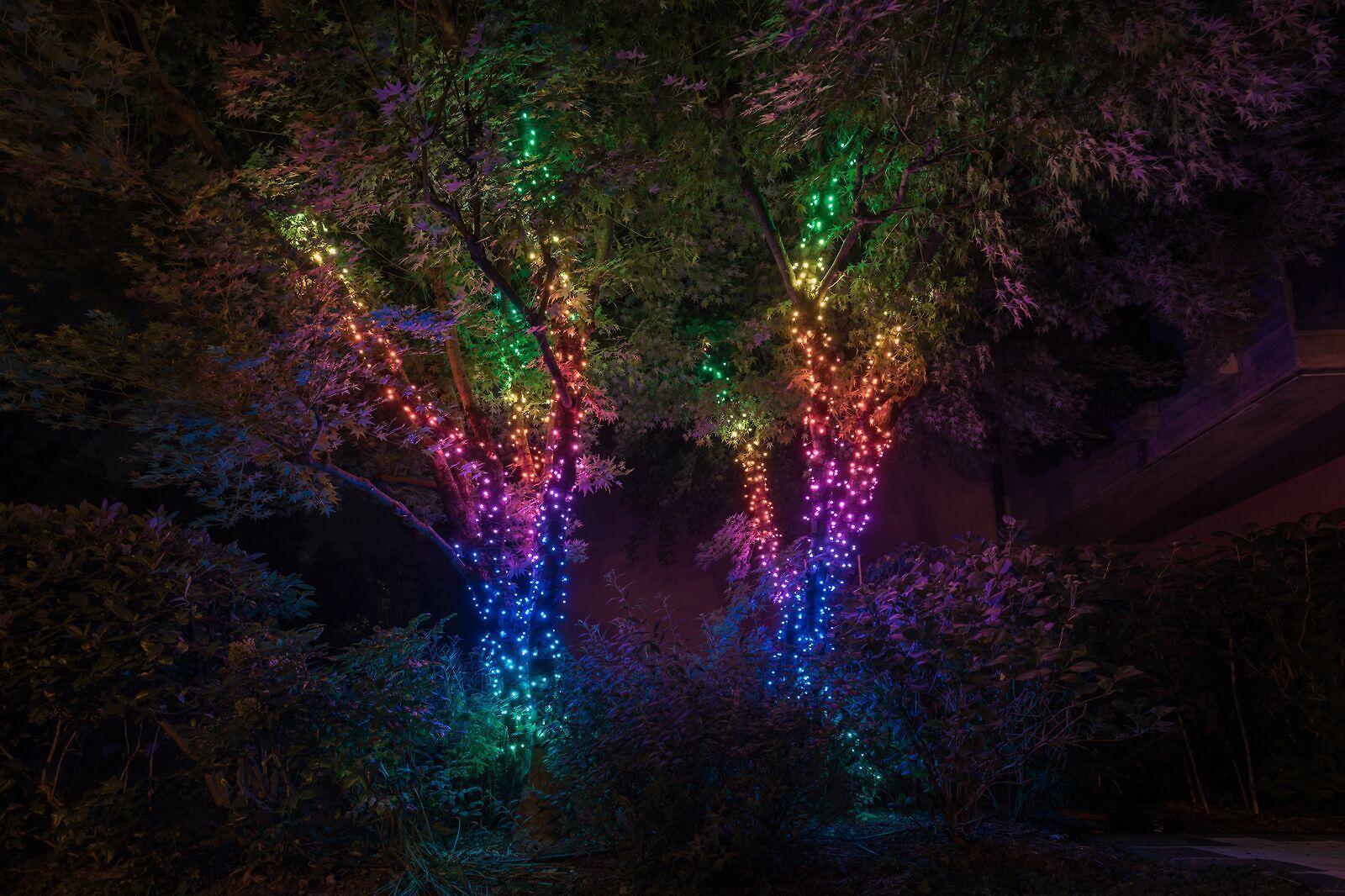 Kalėdinė išmanioji lempučių girlianda Twinkly Strings 100 LED, RGB, daugiaspalvės