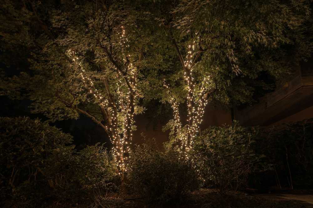 Kalėdinė išmanioji lempučių girlianda Twinkly Strings Special Edition – 250 RGB+W LED