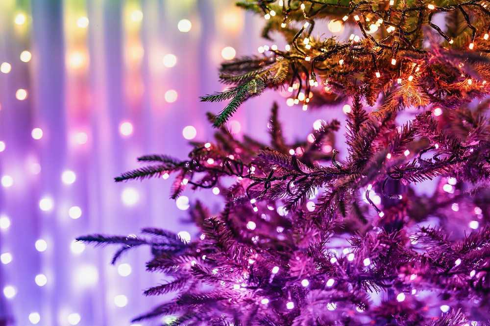 Kalėdinė išmanioji lempučių girlianda Twinkly Strings Special Edition – 250 RGB+W LED