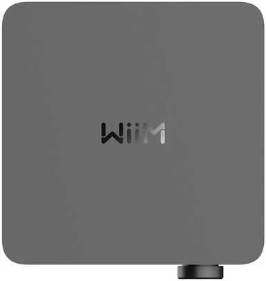 WiiM AMP ULTRA, Streaming-Verstärker, space-pilkas