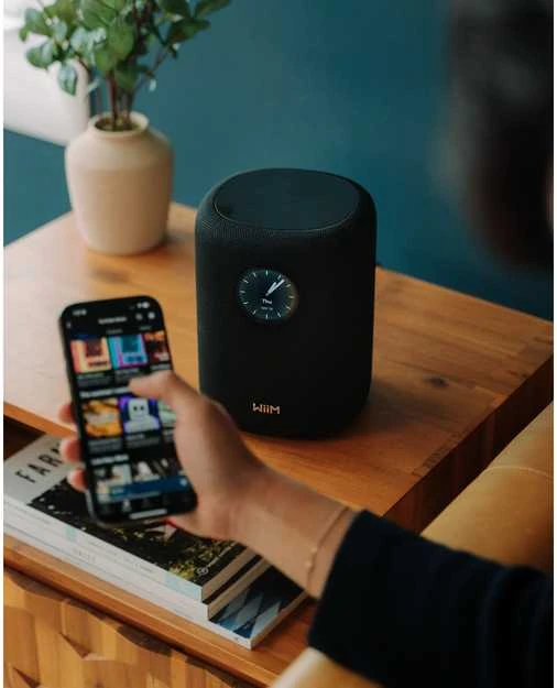 Bose WiiM Sound garso kolonėlė