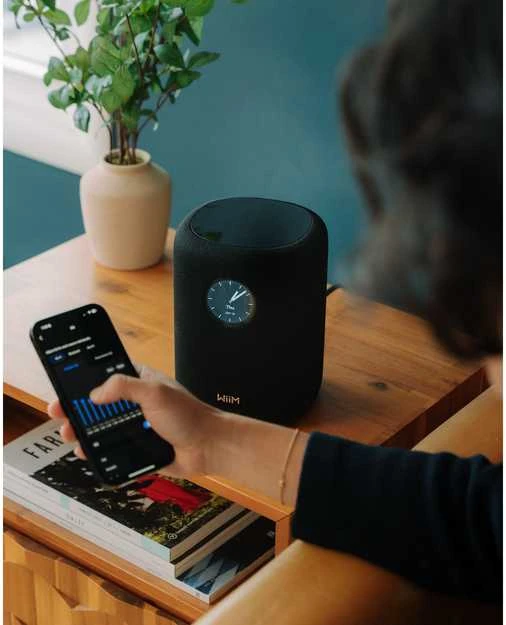 Bose WiiM Sound garso kolonėlė