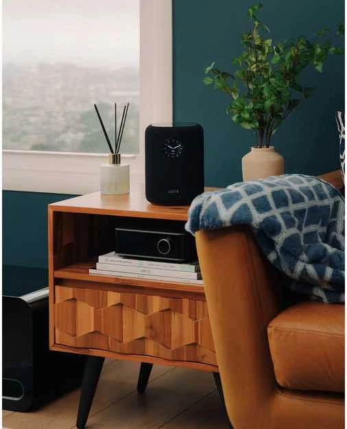 Bose WiiM Sound garso kolonėlė