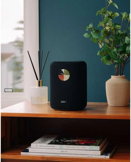 Bose WiiM Sound garso kolonėlė