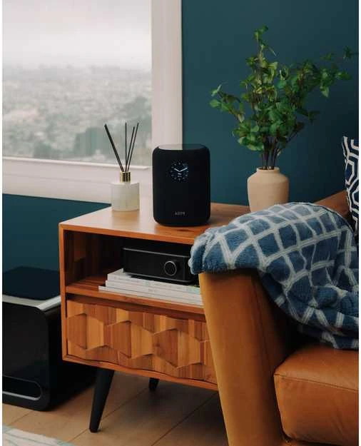 Bose WiiM Sound garso kolonėlė
