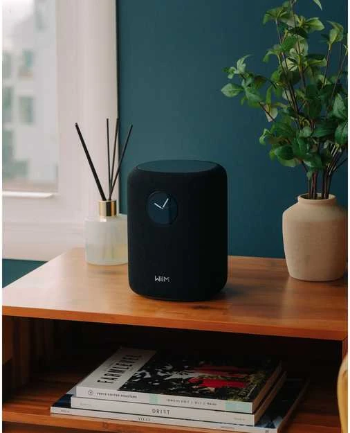 Bose WiiM Sound garso kolonėlė