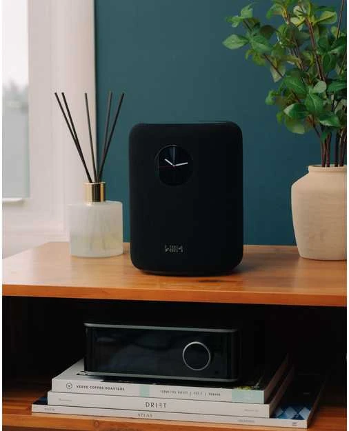 Bose WiiM Sound garso kolonėlė