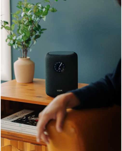 Bose WiiM Sound garso kolonėlė