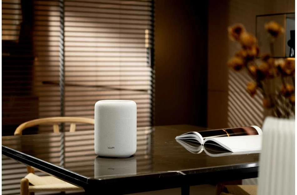 WiiM Sound LITE Nešiojama kolonėlė stereo Baltas 100 W