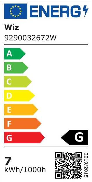 WiZ,Globe,6,3W,2200-6500 (RGB),G95,E27,1vnt šviesos šaltinis